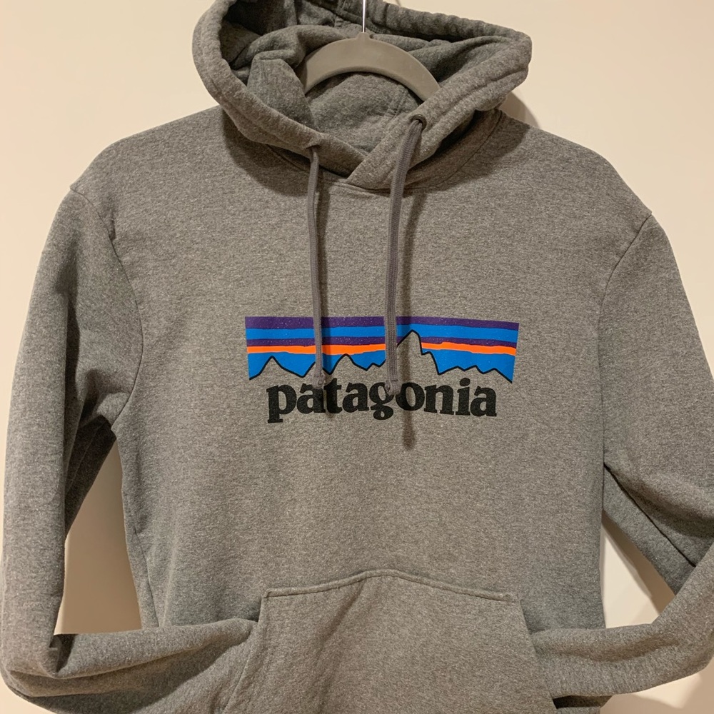 Patagonia hoodie, size small